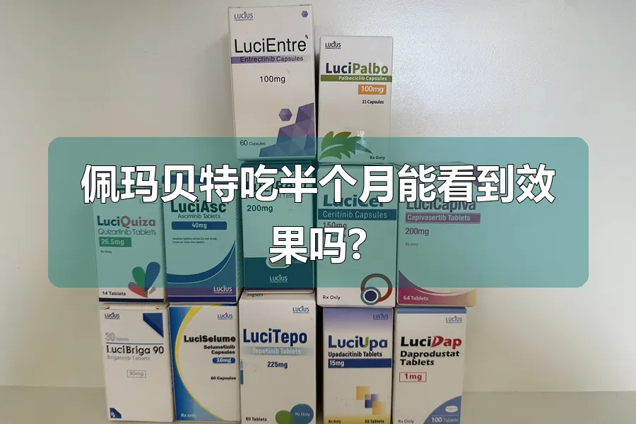 佩玛贝特吃半个月能看到效果吗?